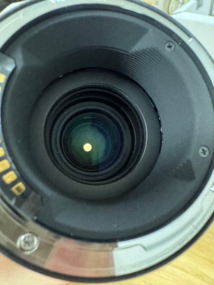 SIGMA 100-400mm F5-6.3 DG DN OS [ライカL用]