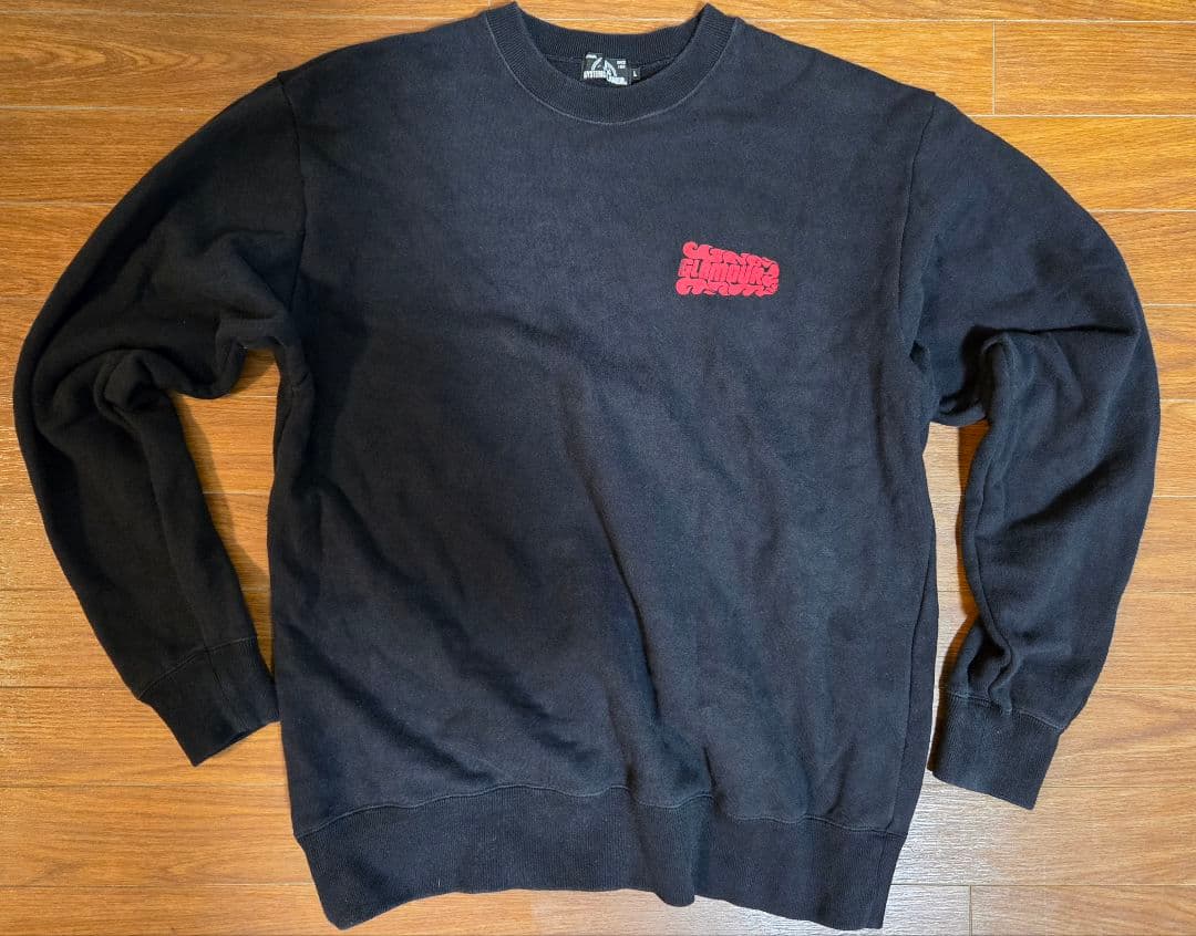 HYSTERIC GLAMOUR ガールプリント スウェット メンズL