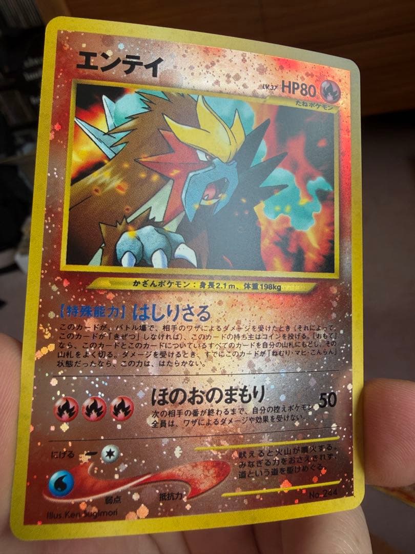 ポケモンカード リザードン エンテイ プレミアムファイル2