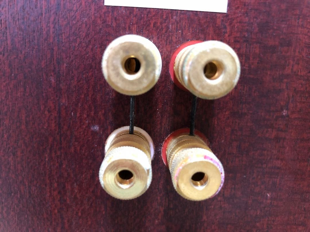 TOTEM ACOUSTIC MODEL1 スピーカー