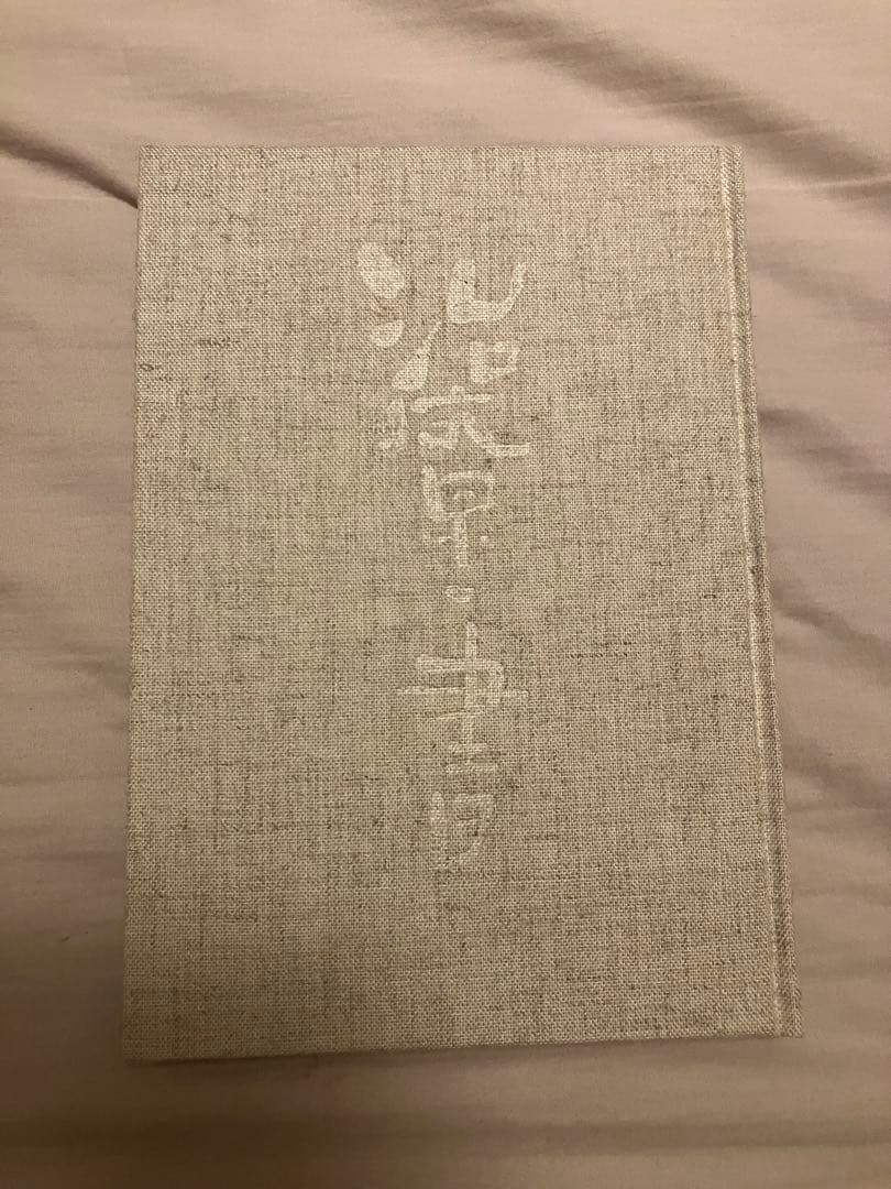 治療の書 野口晴哉著