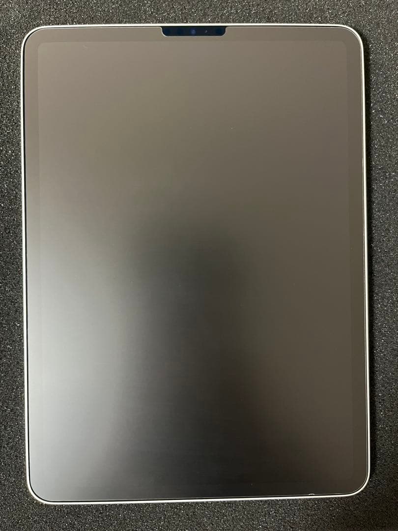 iPad Pro 11インチ 第4世代　256GB シルバー 本体