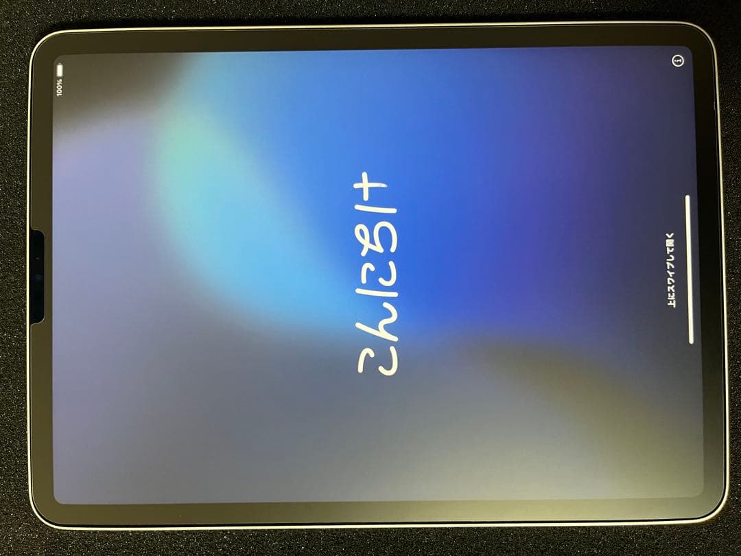 iPad Pro 11インチ 第4世代　256GB シルバー 本体