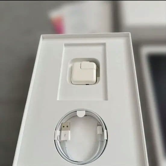 美品 Apple iPad 128GBセルラーモデル 第6世代ゴールド