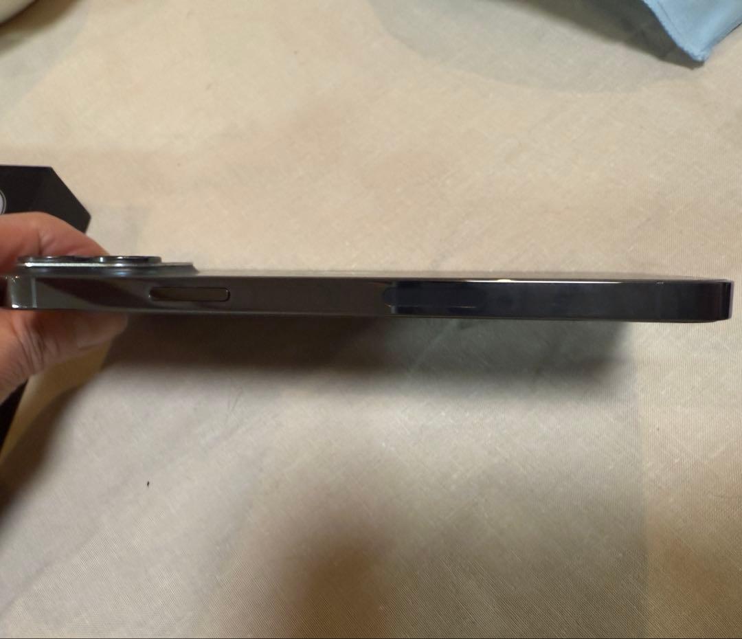 Apple iPhone 13Pro max 512GB 海外版