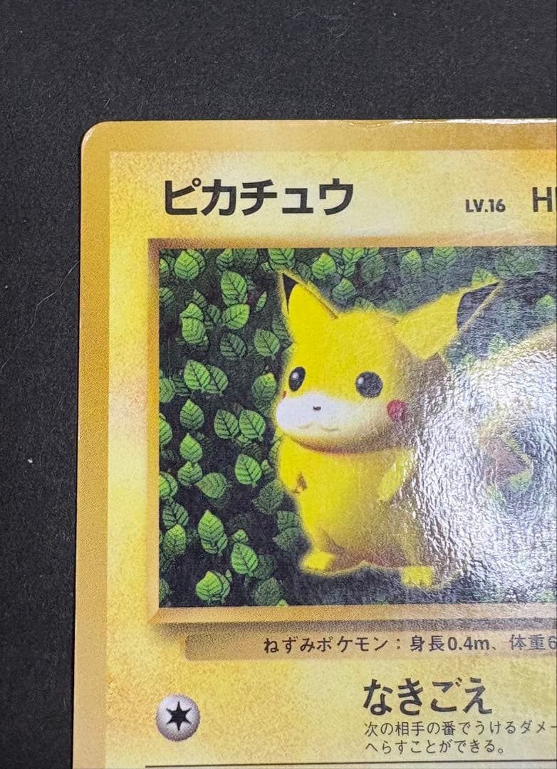 ピカチュウ 旧裏 コロコロ プロモ 光沢あり