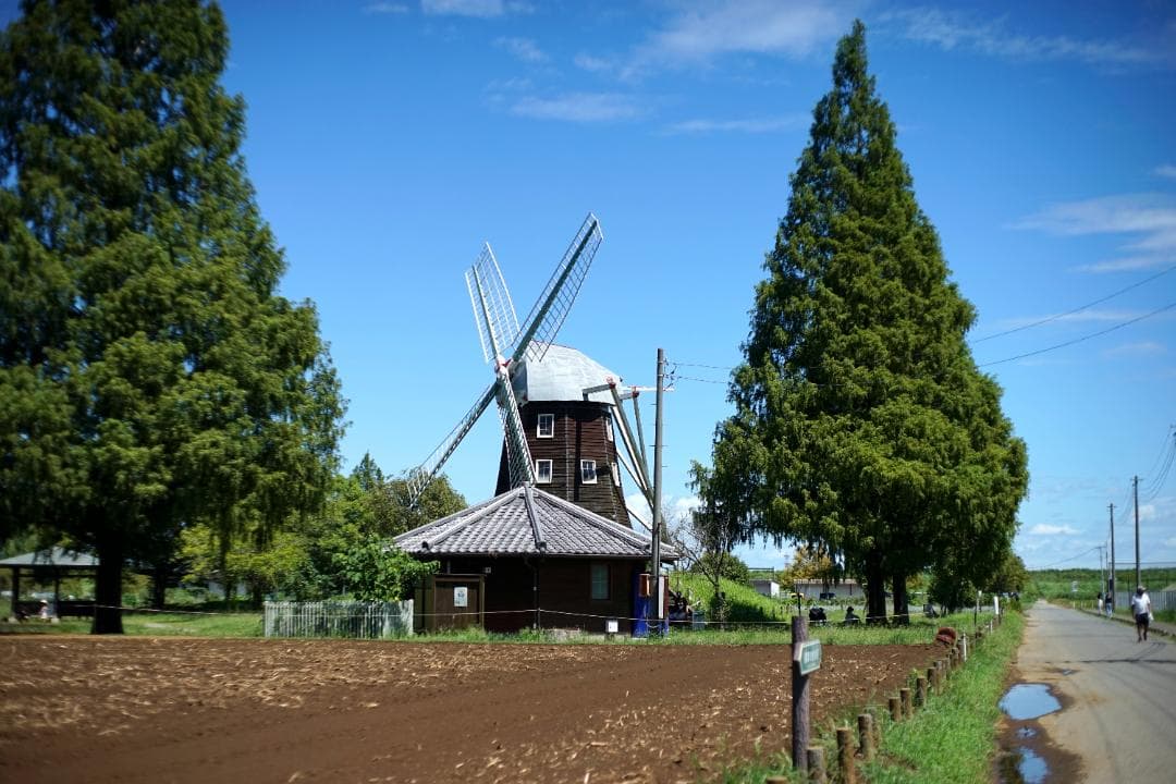 RICOH XR RIKENON 50mm L f2 とてもきれい 分解整備済