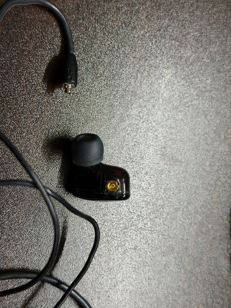 【非売品】Ultimate Ears Triple Fi.10Pro リモールド