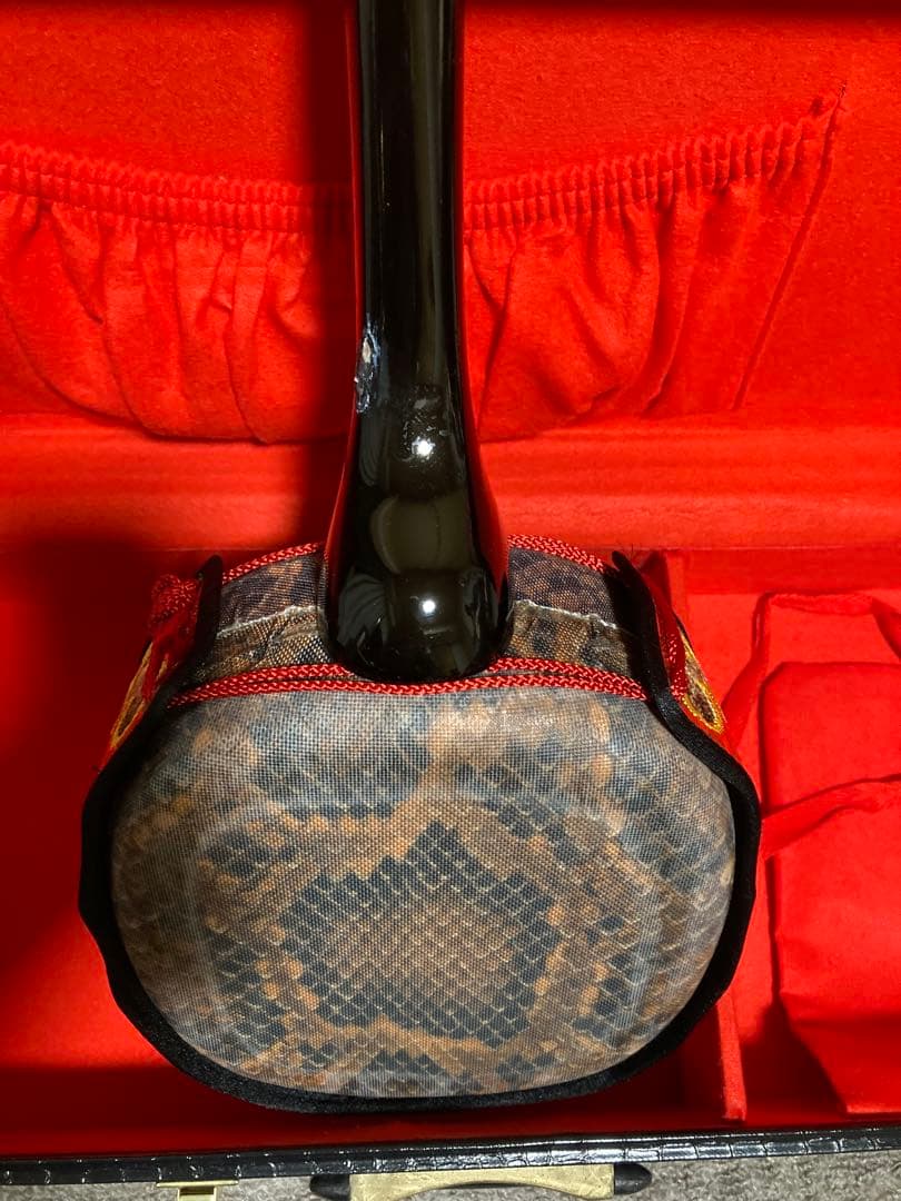 沖縄三線 人工皮 蛇柄 ハードケース 教本付