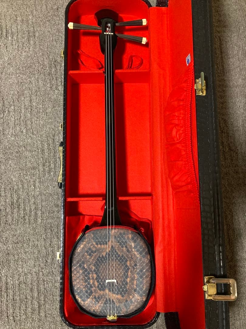 沖縄三線 人工皮 蛇柄 ハードケース 教本付