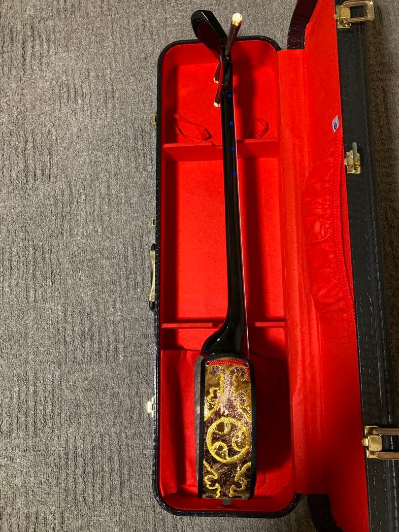 沖縄三線 人工皮 蛇柄 ハードケース 教本付