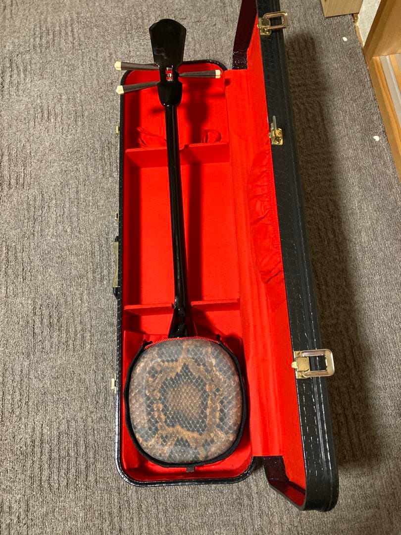 沖縄三線 人工皮 蛇柄 ハードケース 教本付