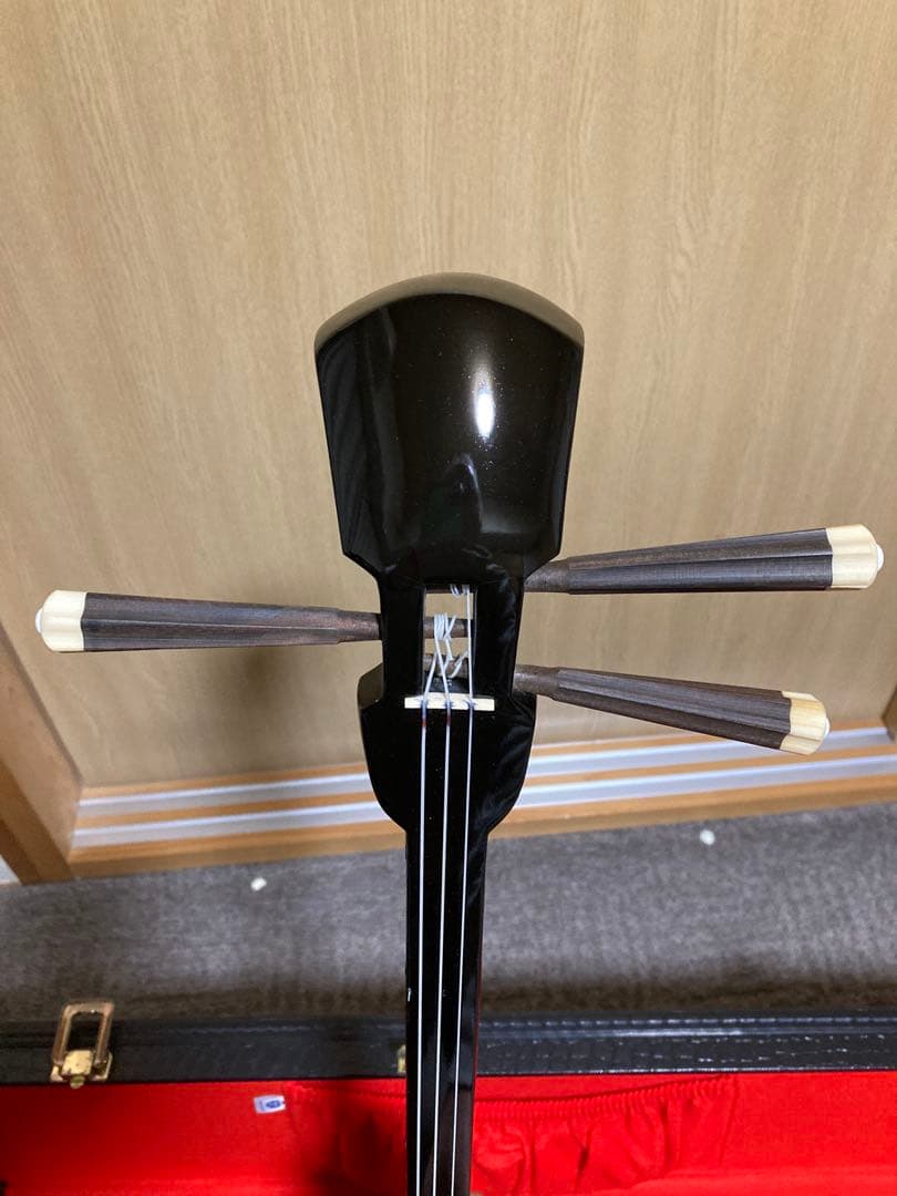 沖縄三線 人工皮 蛇柄 ハードケース 教本付