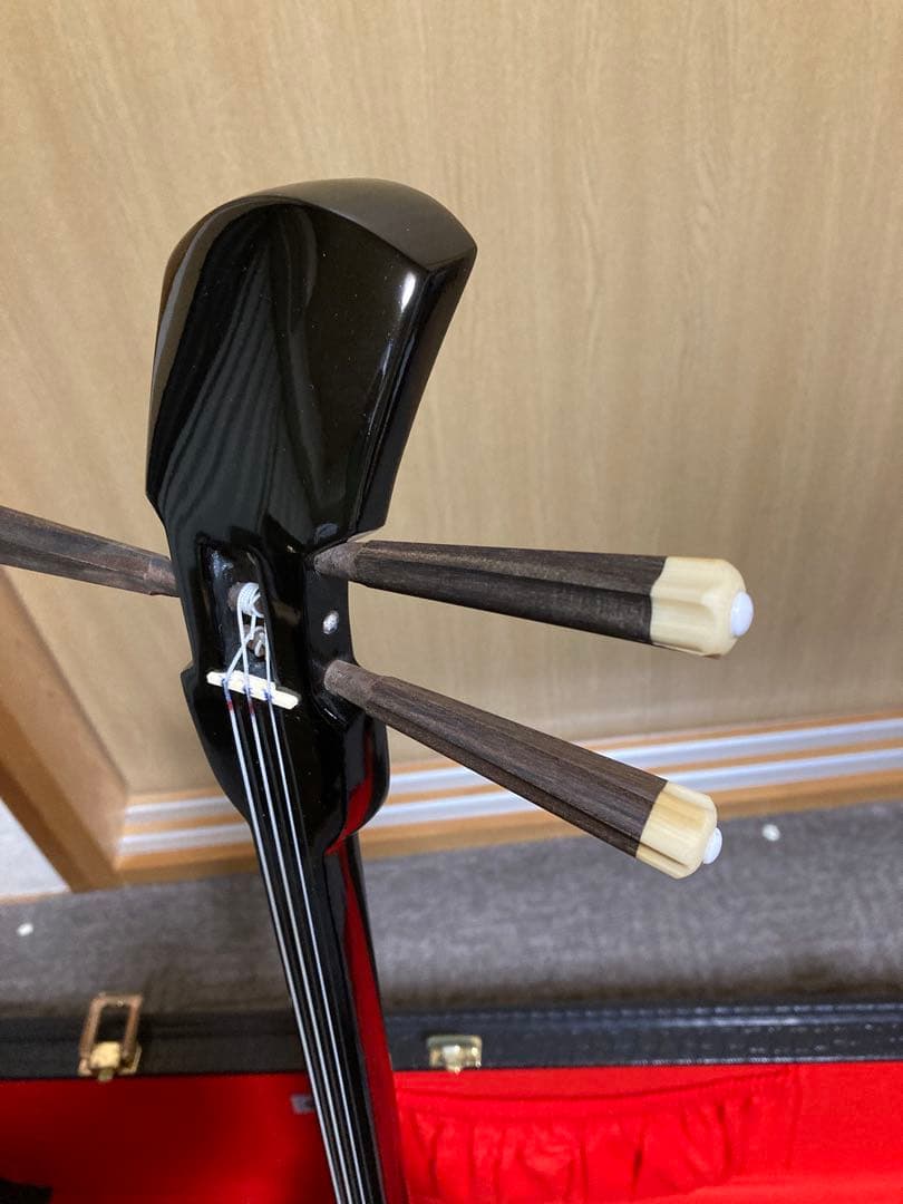 沖縄三線 人工皮 蛇柄 ハードケース 教本付