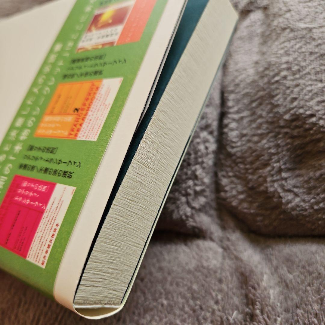 リアリティトランサーフィン 鏡の「超」法則 ヴァジム・ゼランド