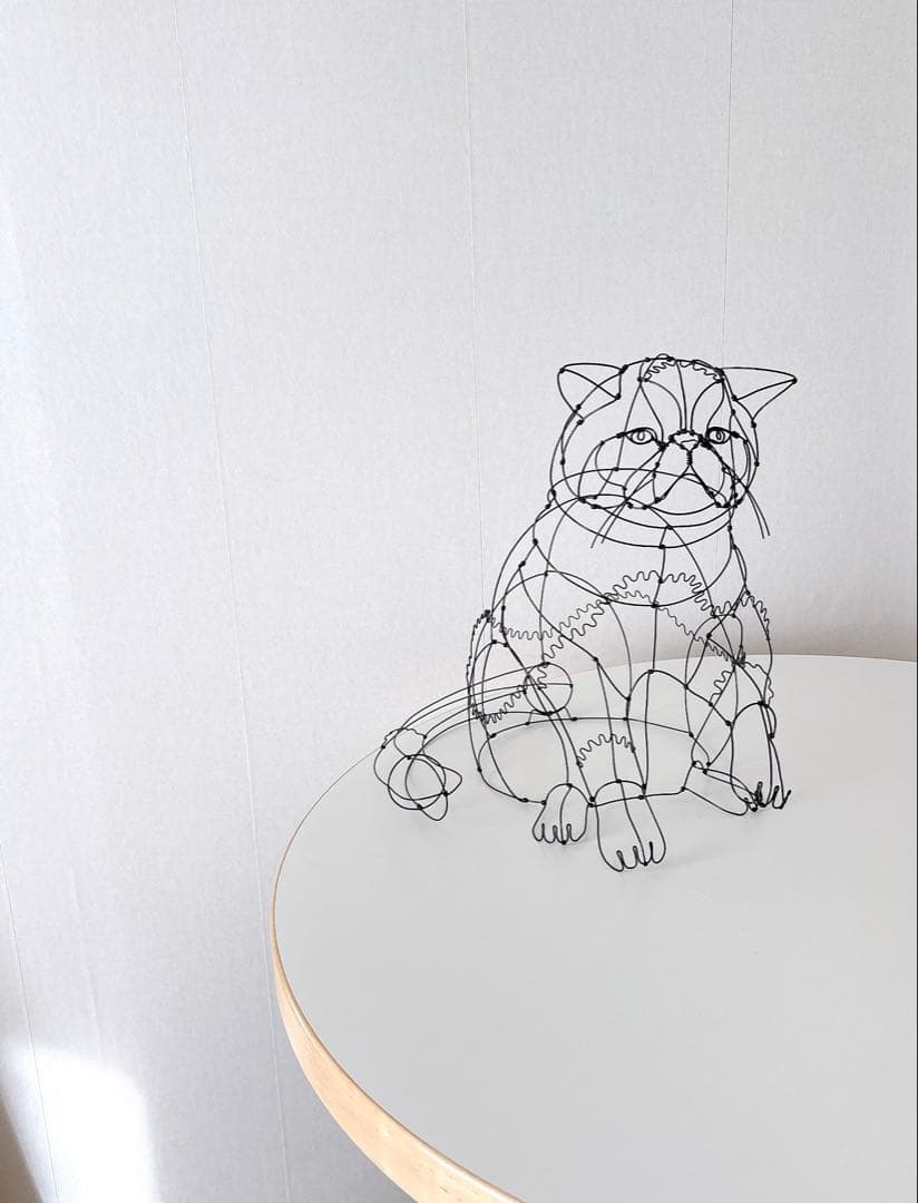 エキゾチックショートヘア　/ ワイヤーアート　ワイヤークラフト