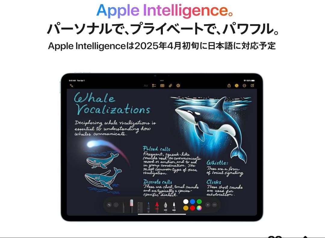 極美品 iPad Air 11インチ M3 128GB スペースグレイ