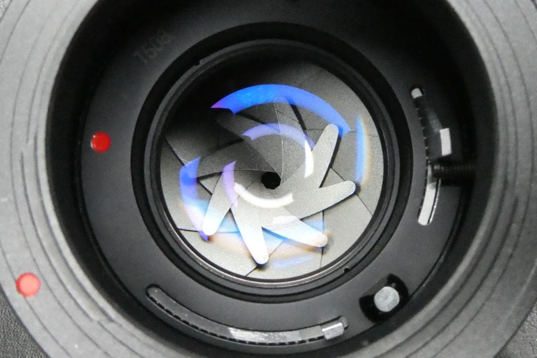 動作品 Canon AE-1 フィルムカメラ FD 50mm F1.4