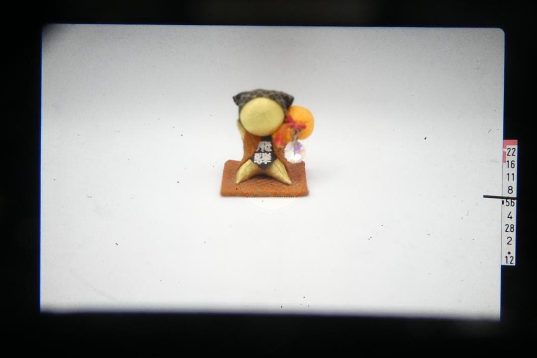 動作品 Canon AE-1 フィルムカメラ FD 50mm F1.4