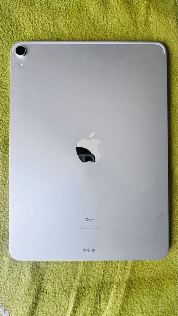 iPad Pro11 第1世代256GB wi-fiモデル