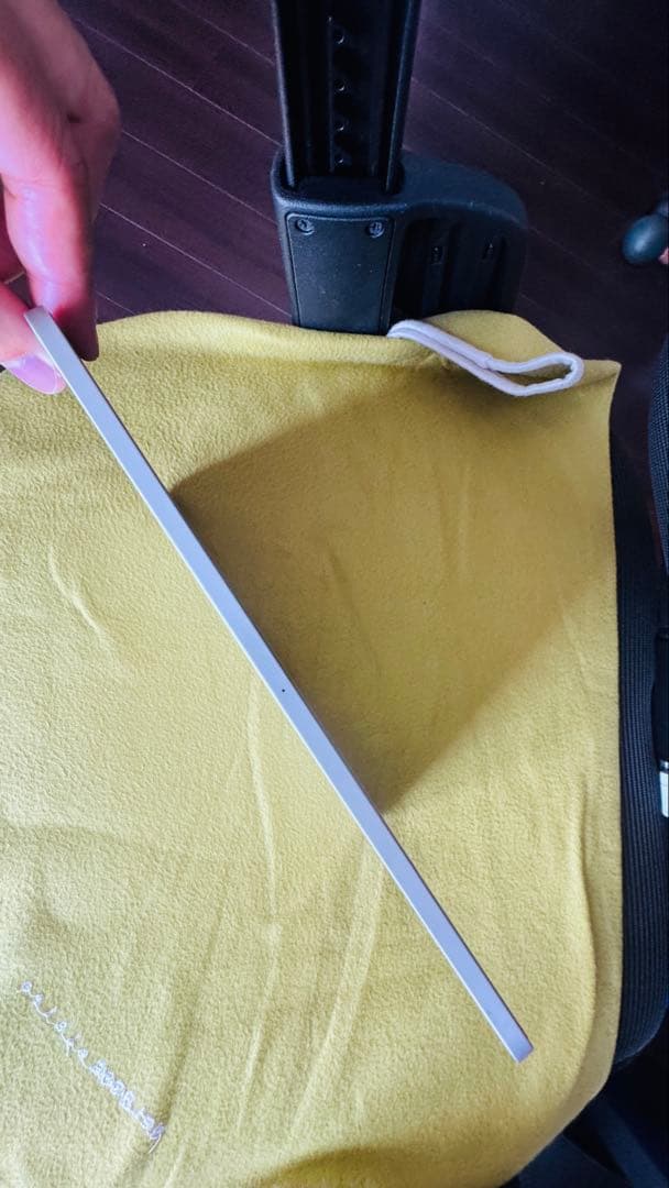 iPad Pro11 第1世代256GB wi-fiモデル