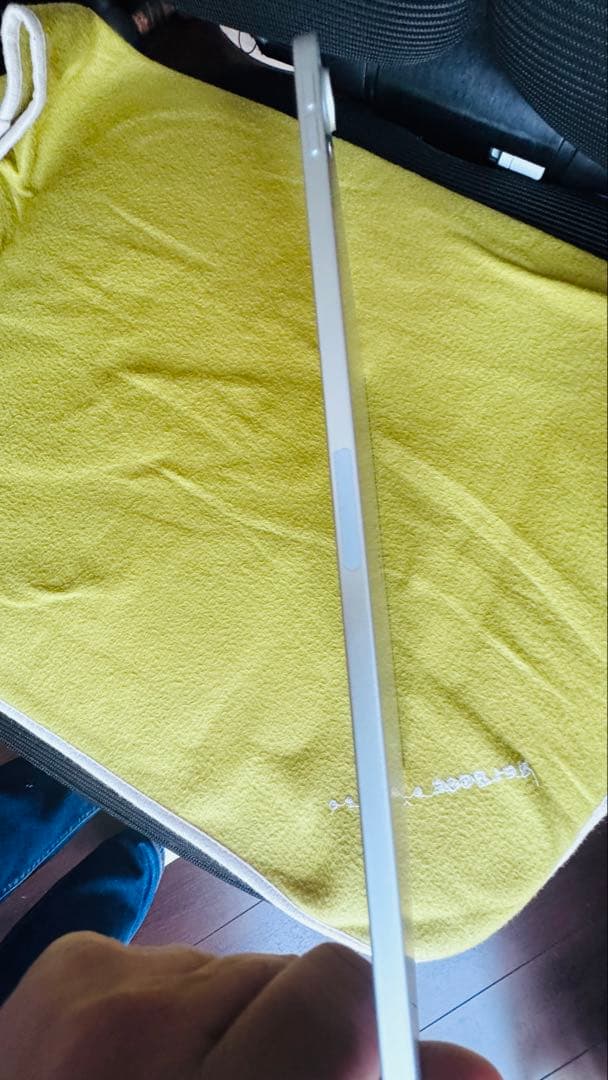 iPad Pro11 第1世代256GB wi-fiモデル