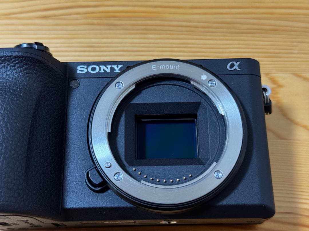 SONY a6600 カメラ ボディ ILCE-6600