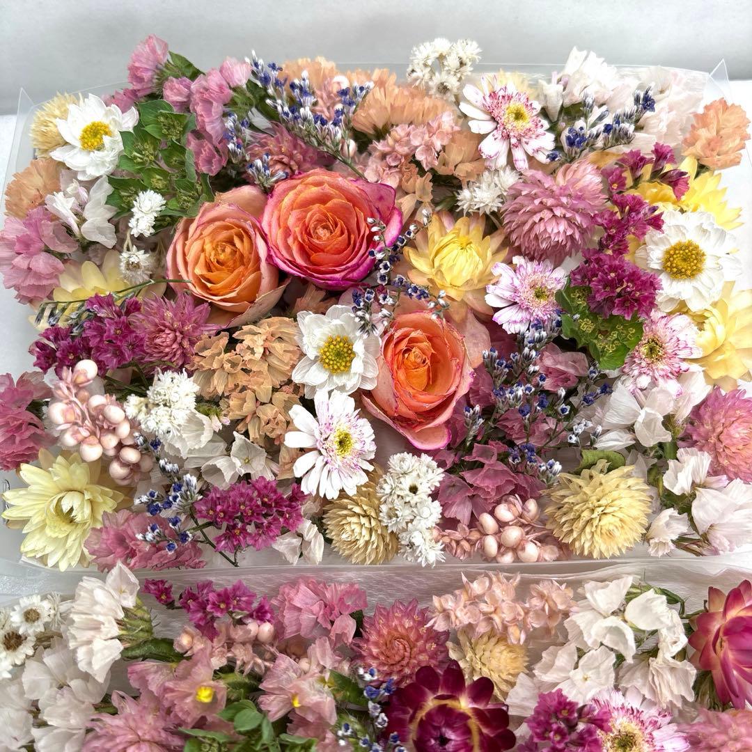ドライフラワー 花材 詰め合わせ 918