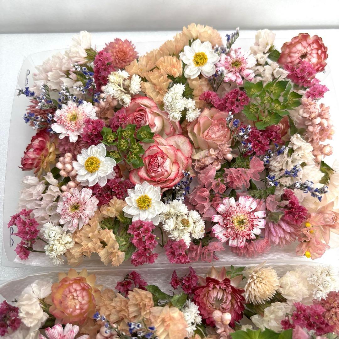 ドライフラワー 花材 詰め合わせ 918