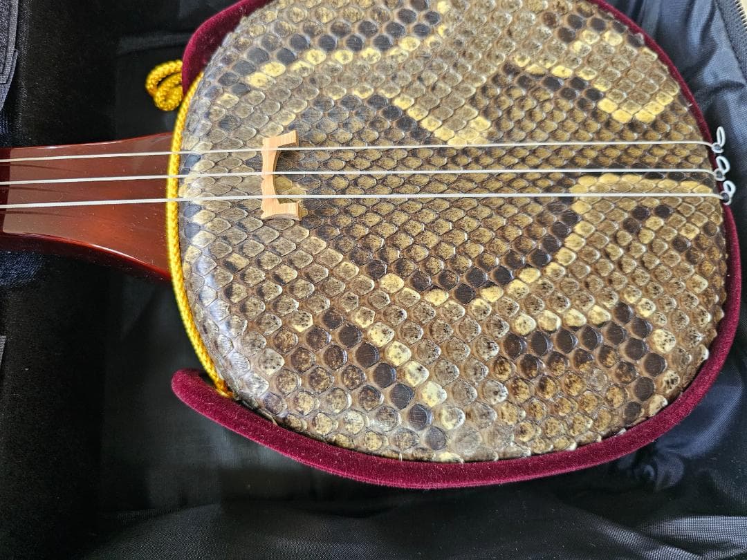 沖縄 三線　蛇皮 ソフトケース、ツメ付き 強化