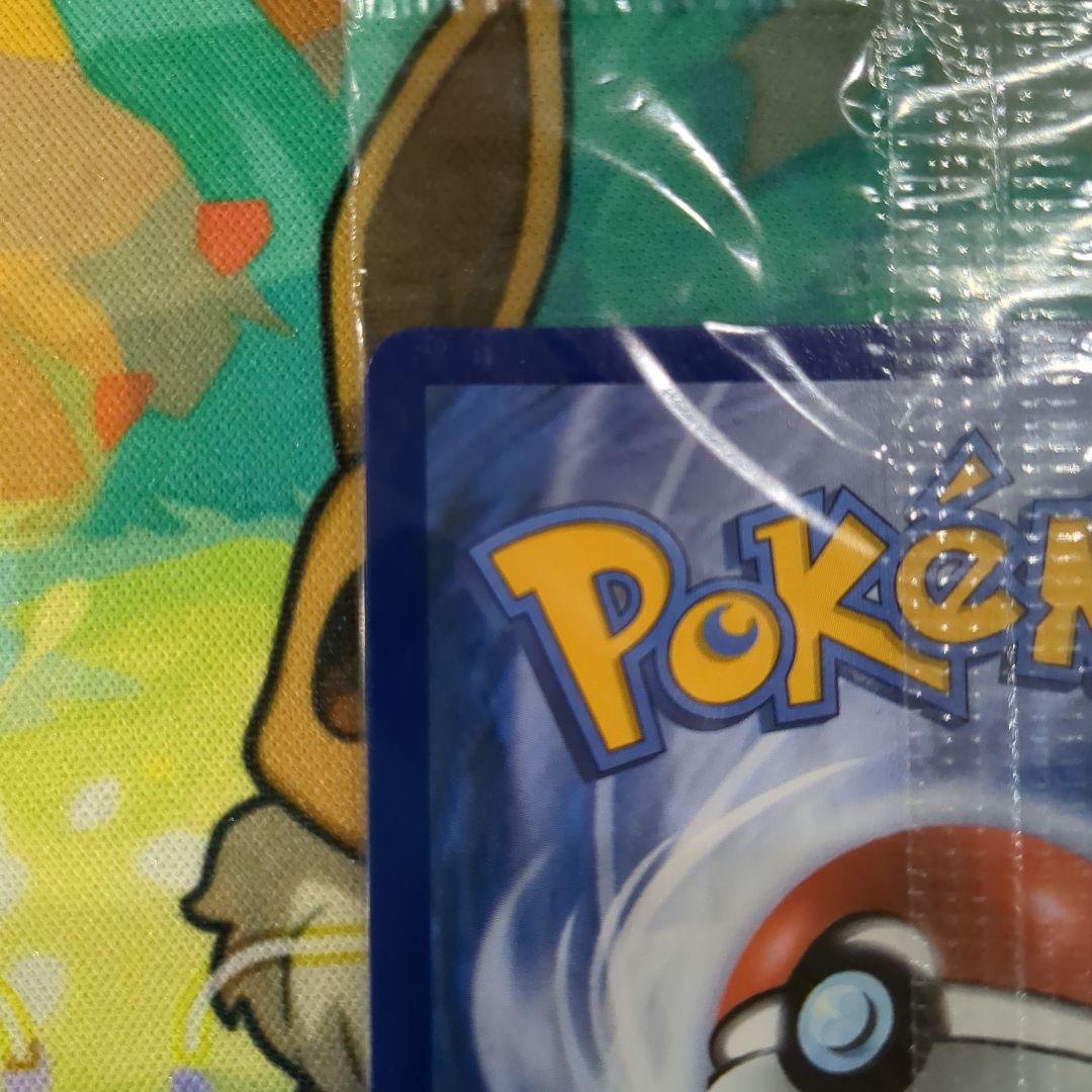 R*O様 【Y6】メガリザードンX ex プロモ ウルトラプレミアムコレクション