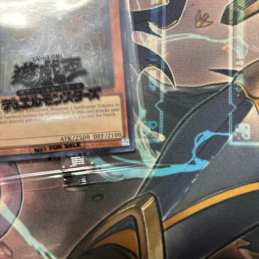 日本選手権 2024 2期 優勝プロモ