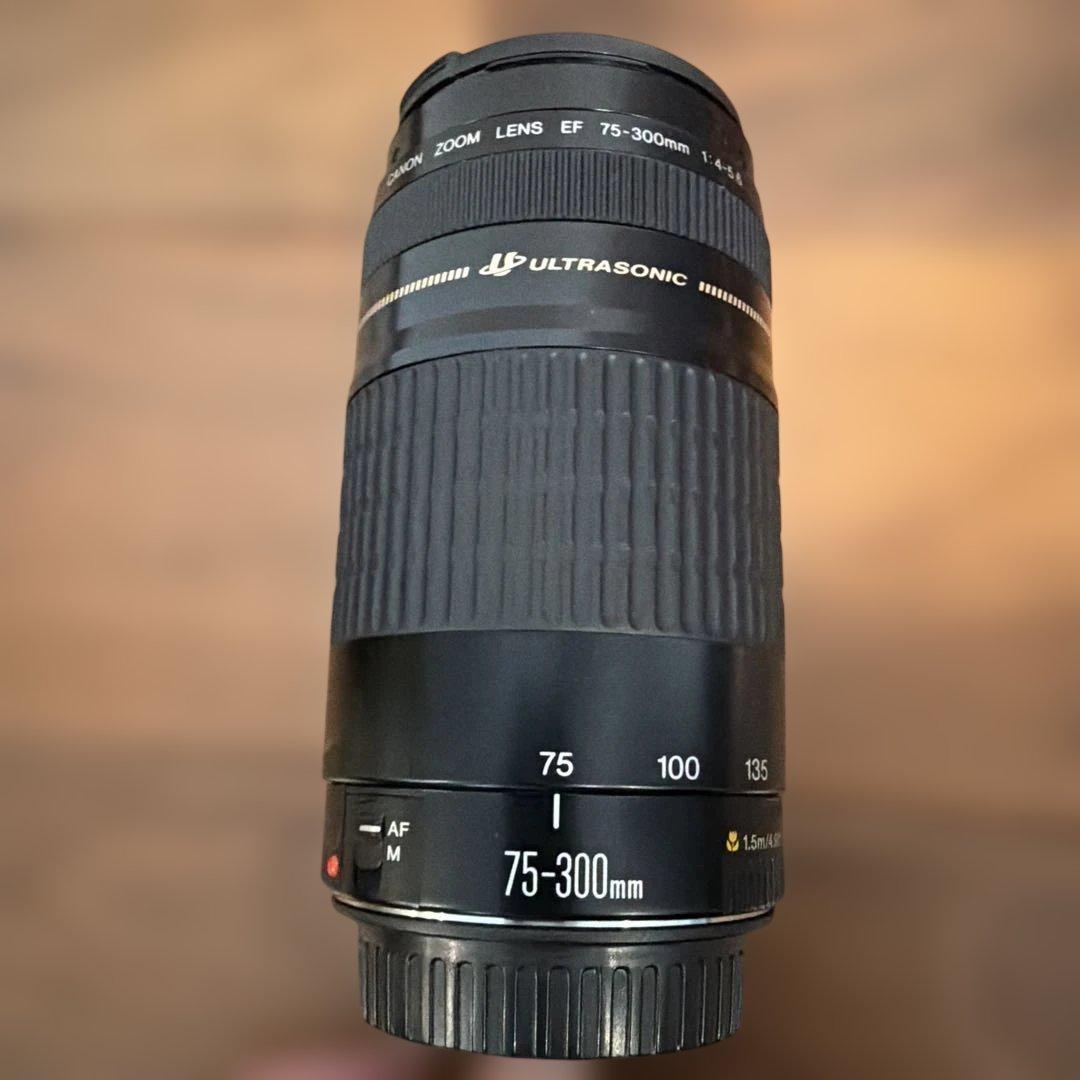 Canon EOS Kiss 一眼レフフィルムカメラ レンズ2本付き　動作確認済