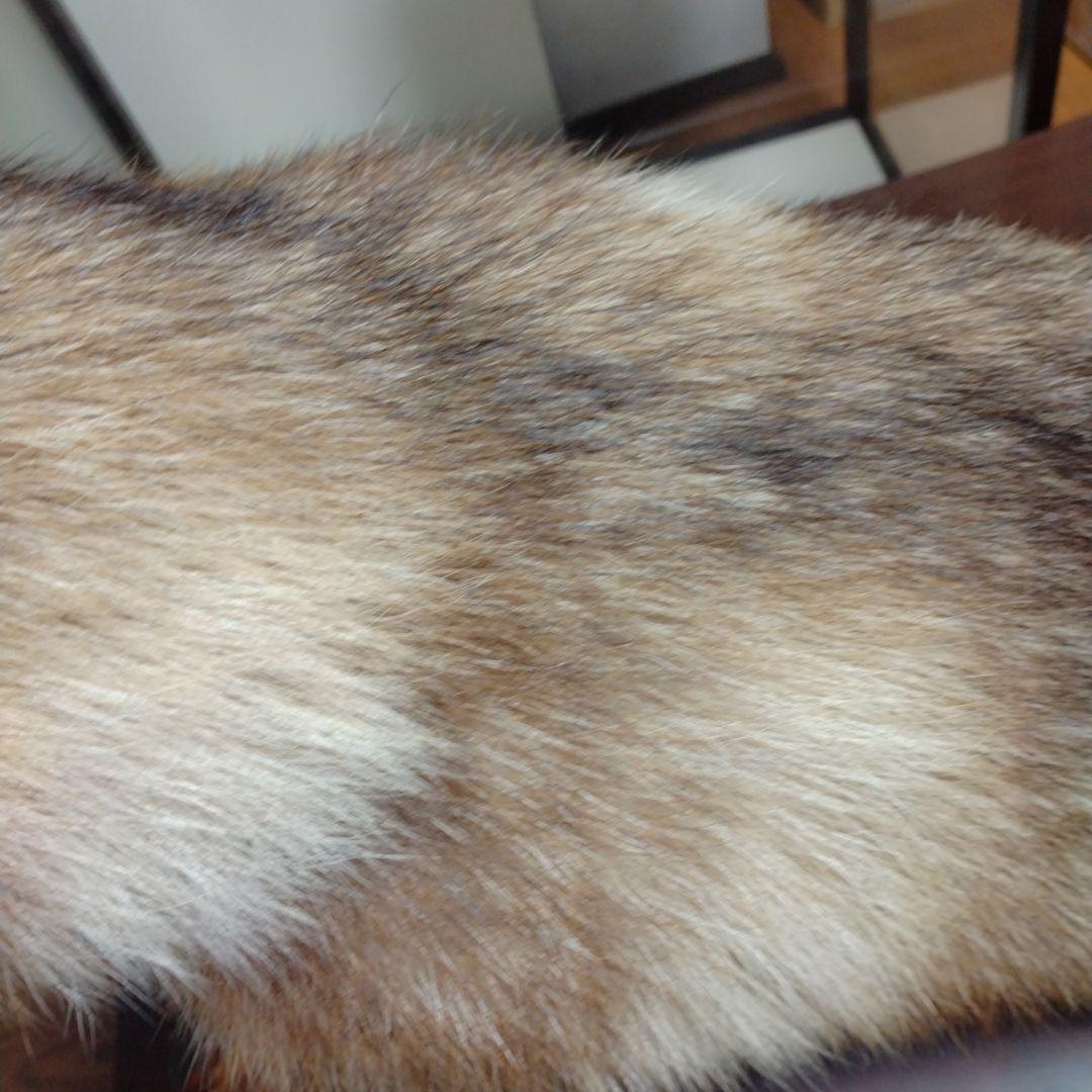 タヌキの置物 ガラスケース付き