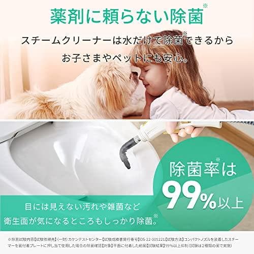 アイリスオーヤマ スチームクリーナー ハンディタイプ STM-305R-C aa