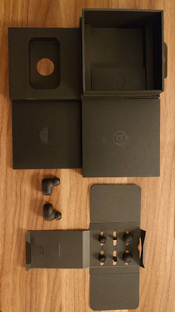 devialet gemini ii イヤホンのみ