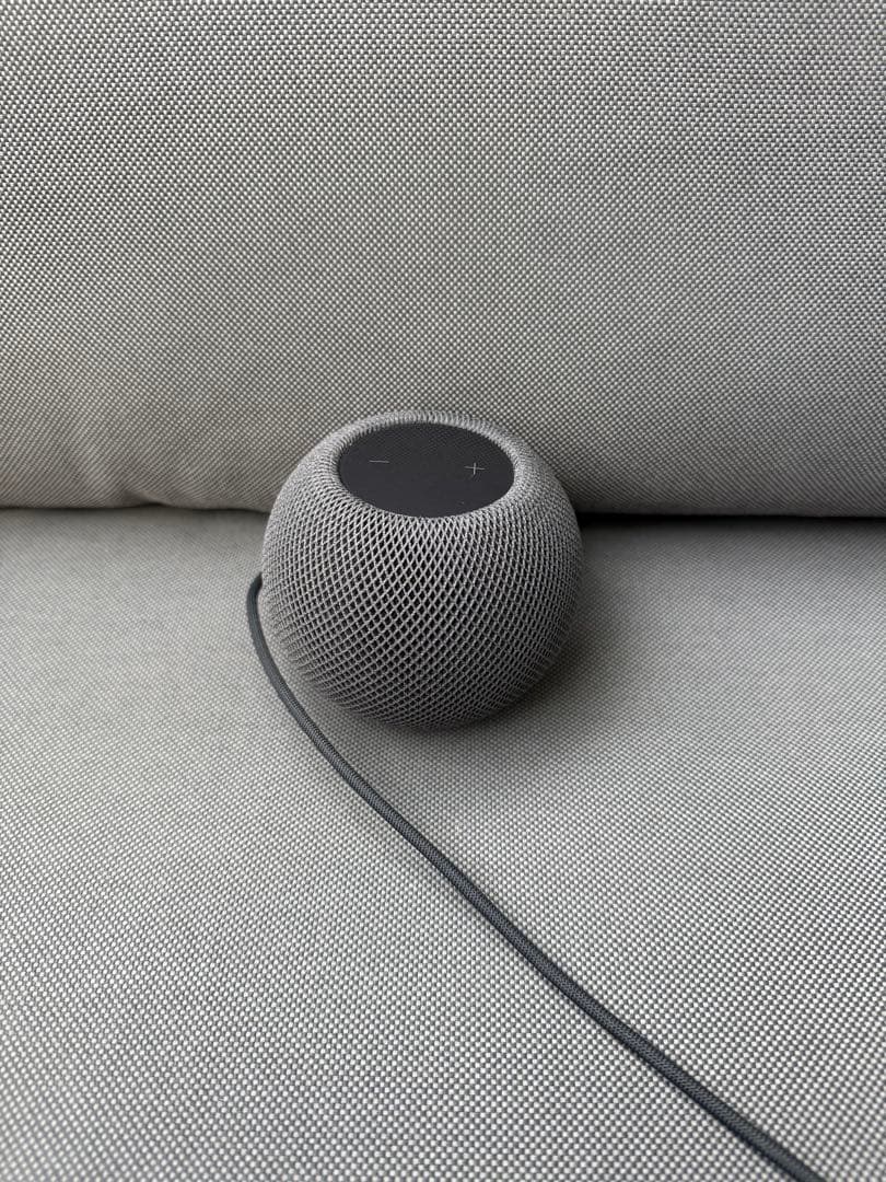 Apple Pod mini (黒)