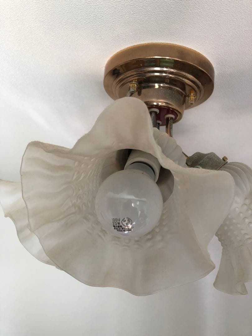 フラワー型ガラスシェードシャンデリア