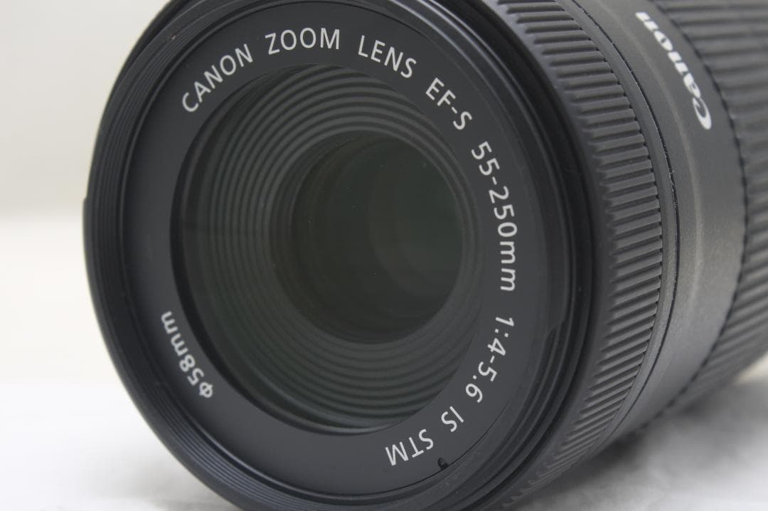 キヤノン EF-S 55-250mm F4-5.6 IS STM 1413