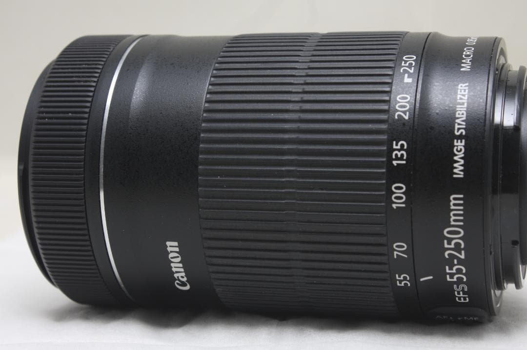 キヤノン EF-S 55-250mm F4-5.6 IS STM 1413
