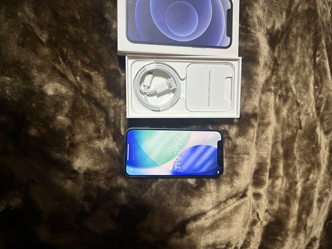 Apple iPhone 12 mini本体 充電ケーブル付き