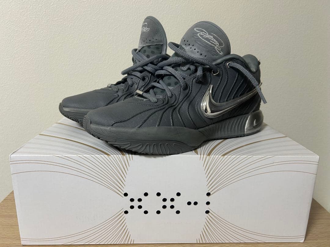 NIKE レブロン21 EP 28cm lebron