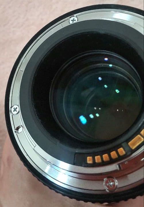 レンズ(単焦点) Canon EF 100mm f/2.8L Macro IS USM