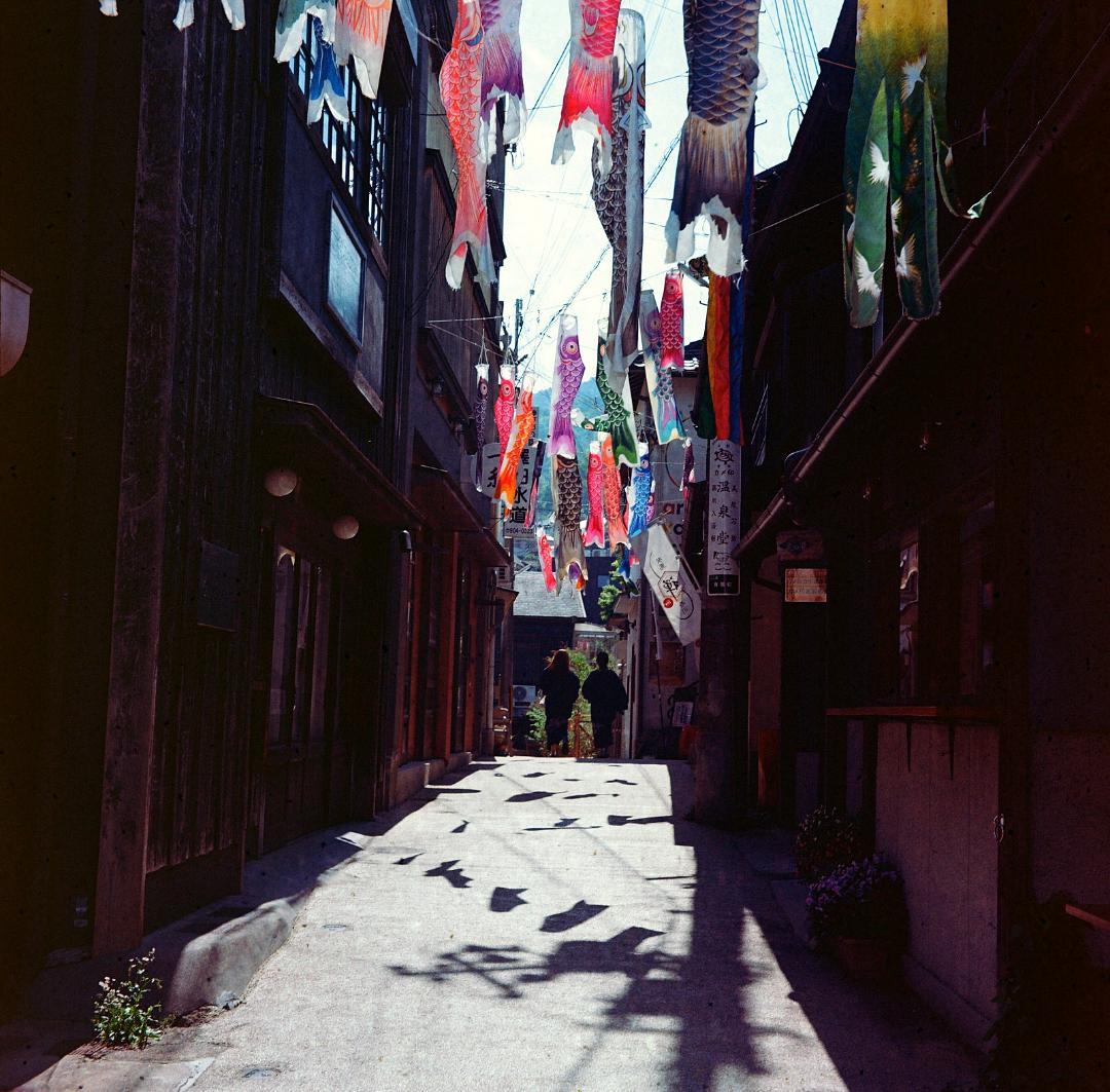 完動美品・Yshicaflex 80mm f3.5・純正フード・作例有