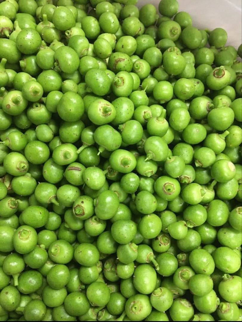 うまぶどうウマブドウ 馬ぶどう実 3200g（400gx8） 焼酎漬用選別冷凍