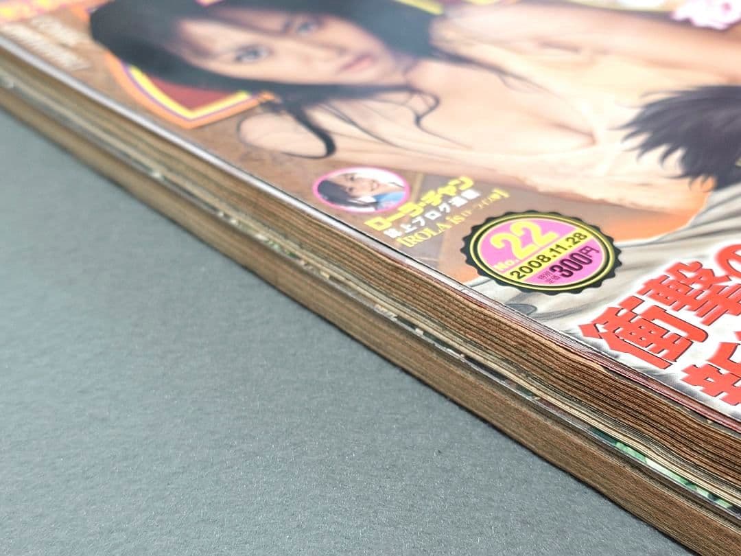 ヤングアニマル2008年22号『自殺島』新連載巻頭カラー/ベルセルク第299話