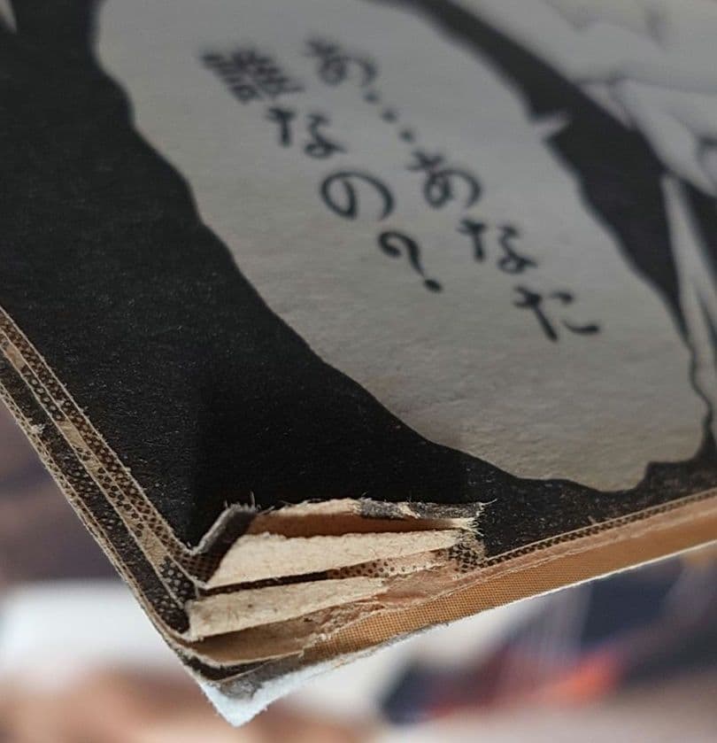 ヤングアニマル2008年22号『自殺島』新連載巻頭カラー/ベルセルク第299話