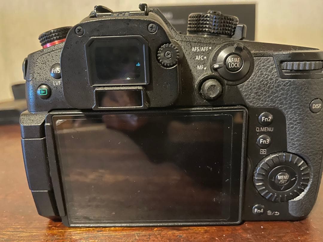 LUMIX GH5S ミラーレスカメラ 純正バッテリー2個付き