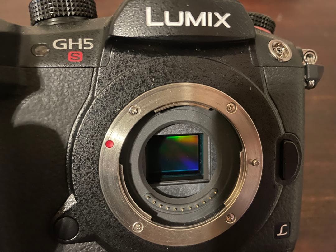 LUMIX GH5S ミラーレスカメラ 純正バッテリー2個付き