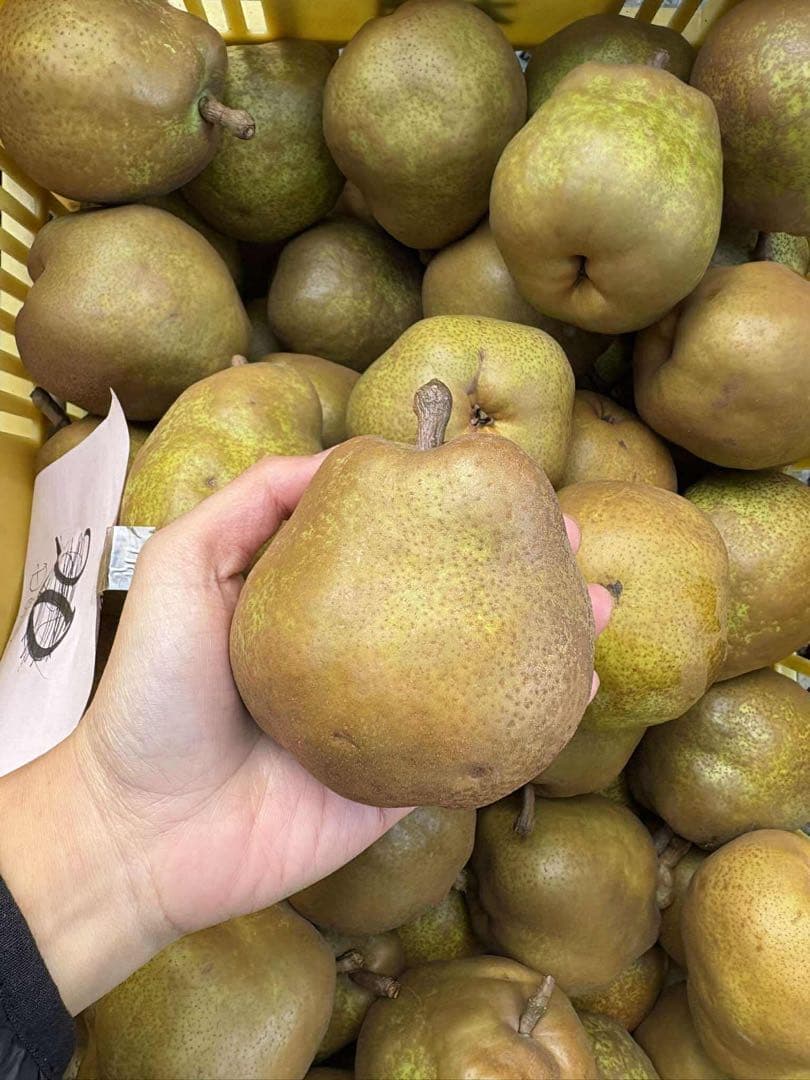 山形県　洋梨　ラフランス　大サイズ 箱込み　25キロMỀM